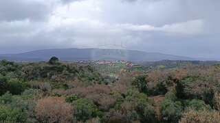 Land for sale in Torres Novas, Portugal — €6,750