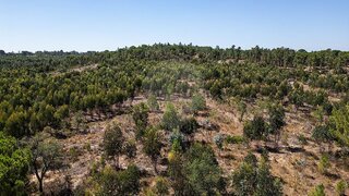Land for sale in Coruche, Portugal — €135,000