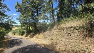 Terreno de 9960 m² em Leiria