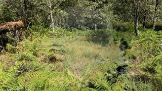 Land for sale in Vieira do Minho, Portugal — €24,900