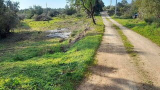 Land for sale in Silves, Portugal — €61,000