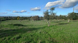 Terreno em Crato