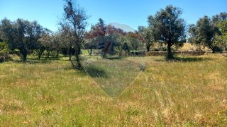 Land for sale in Crato, Portugal — €35,000