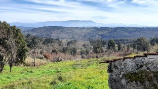 Land for sale in Carregal do Sal, Portugal — €79,000