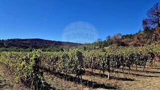 Land for sale in Moimenta da Beira, Portugal — €69,900