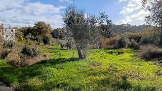 Land for sale in Pombal, Portugal — €15,000