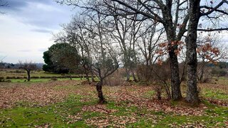 Land for sale in Penamacor, Portugal — €35,000