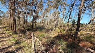Land for sale in Pombal, Portugal — €20,000