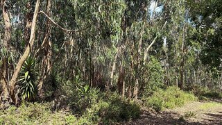 Land for sale in Mafra, Portugal — €120,000