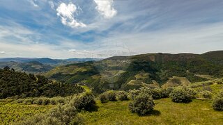 Land for sale in Sabrosa, Portugal — €81,500