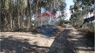Land for sale in Palmela, Portugal — €99,000