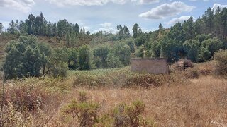 Land for sale in Abrantes, Portugal — €4,500