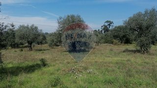 Land for sale in Mealhada, Portugal — €43,820