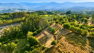 Land for sale in Cabeceiras de Basto, Portugal — €37,000