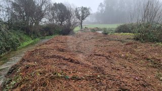 Land for sale in Barcelos, Portugal — €60,000