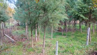 Land for sale in Vouzela, Portugal — €14,900