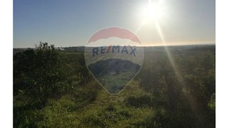 Land for sale in Alpiarça, Portugal — €78,000