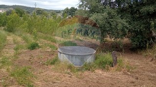 Land for sale in Ferreira do Zêzere, Portugal — €28,000