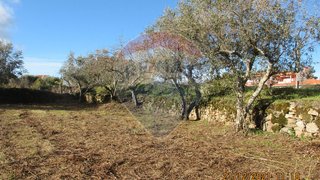 Terreno em Celorico da Beira