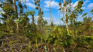Land for sale in Ourém, Portugal — €5,500