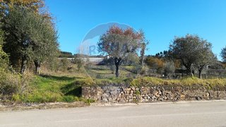 Land for sale in Alvaiázere, Portugal — €40,000