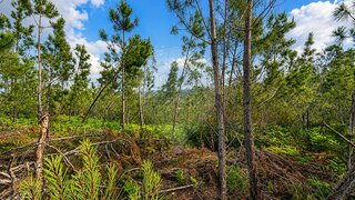 Land for sale in Ourém, Portugal — €3,500