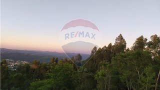 Terreno em Tomar · 3120 m² · 5500 €