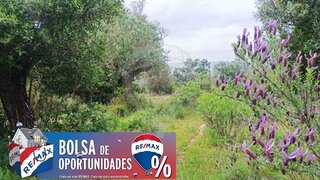 Land for sale in Torres Novas, Portugal — €6,900
