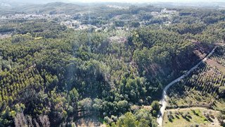 Land for sale in Ferreira do Zêzere, Portugal — €60,000