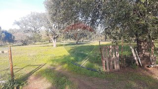 Land for sale in Mourão, Portugal — €90,000