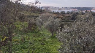 Terreno · 299 m² · 29 500 €