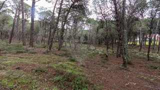 Land for sale in Sintra, Portugal — €40,000