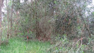 Terreno em Figueira da Foz