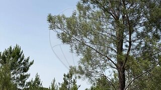 Land for sale in Grândola, Portugal — €1,850,000
