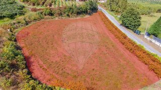 Land for sale in Felgueiras, Portugal — €79,500