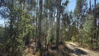 Land for sale in Santa Comba Dão, Portugal — €9,500
