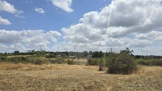 Land for sale in Torres Novas, Portugal — €1,200