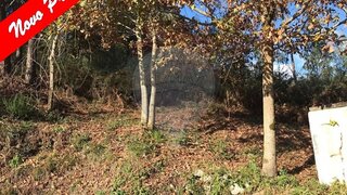 Terreno em Ponte da Barca