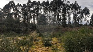 Land for sale in Paços de Ferreira, Portugal — €230,000