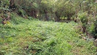 Terreno em Vila do Porto