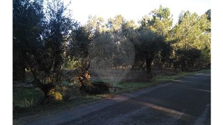 Land for sale in Pombal, Portugal — €55,000
