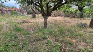 Land for sale in Pombal, Portugal — €38,500