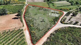 Terreno em Carrazeda de Ansiães
