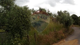 Land for sale in Sertã, Portugal — €8,000
