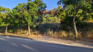 Land for sale in Tomar, Portugal — €50,000