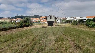 Land for sale in Anadia, Portugal — €35,000