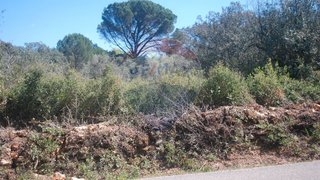 Land for sale in Ferreira do Zêzere, Portugal — €3,000