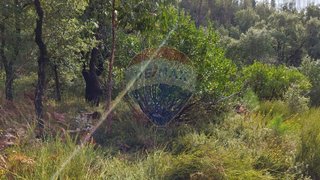 Land for sale in Sertã, Portugal — €2,400