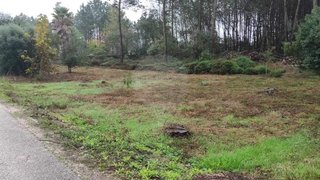 Land for sale in Pombal, Portugal — €18,000