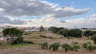 Land for sale in Cartaxo, Portugal — €998,000